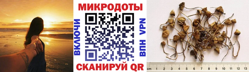 Купить  Кандалакша  Галлюциногенные грибы Psilocybine cubensis 